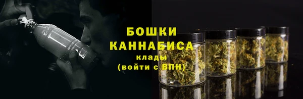 PSILOCYBIN Вязники